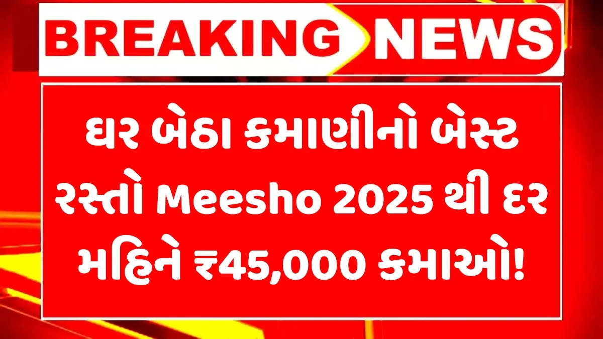 Meesho Work From Home 2025